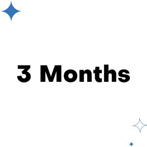 3 Months Subscription